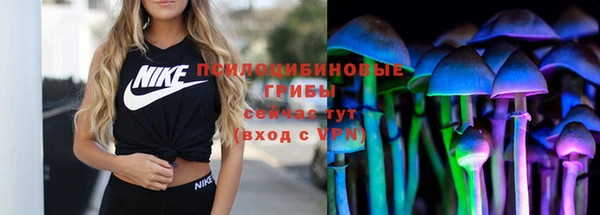 тгк Красноперекопск