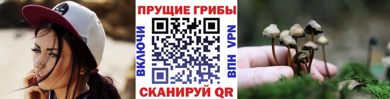 Галлюциногенные грибы Psilocybine cubensis  Киренск 
